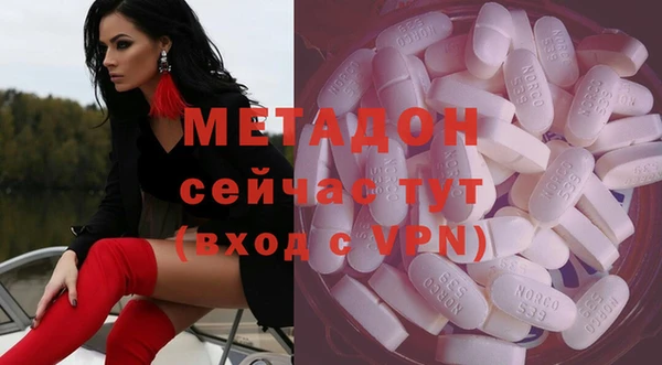 PSILOCYBIN Белокуриха