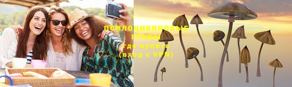 PSILOCYBIN Белокуриха