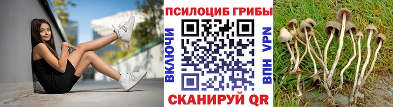 Псилоцибиновые грибы прущие грибы  Благодарный 